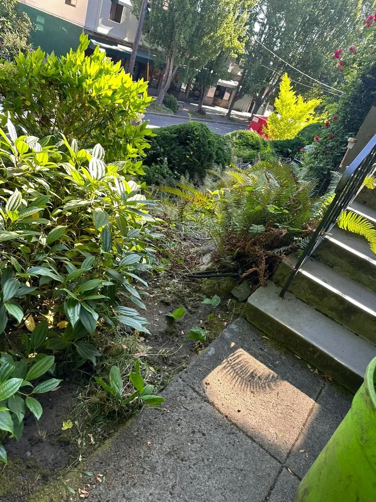 Professional outdoor landscaping in Federal Way, WA by Sanchez Clean Scape Services