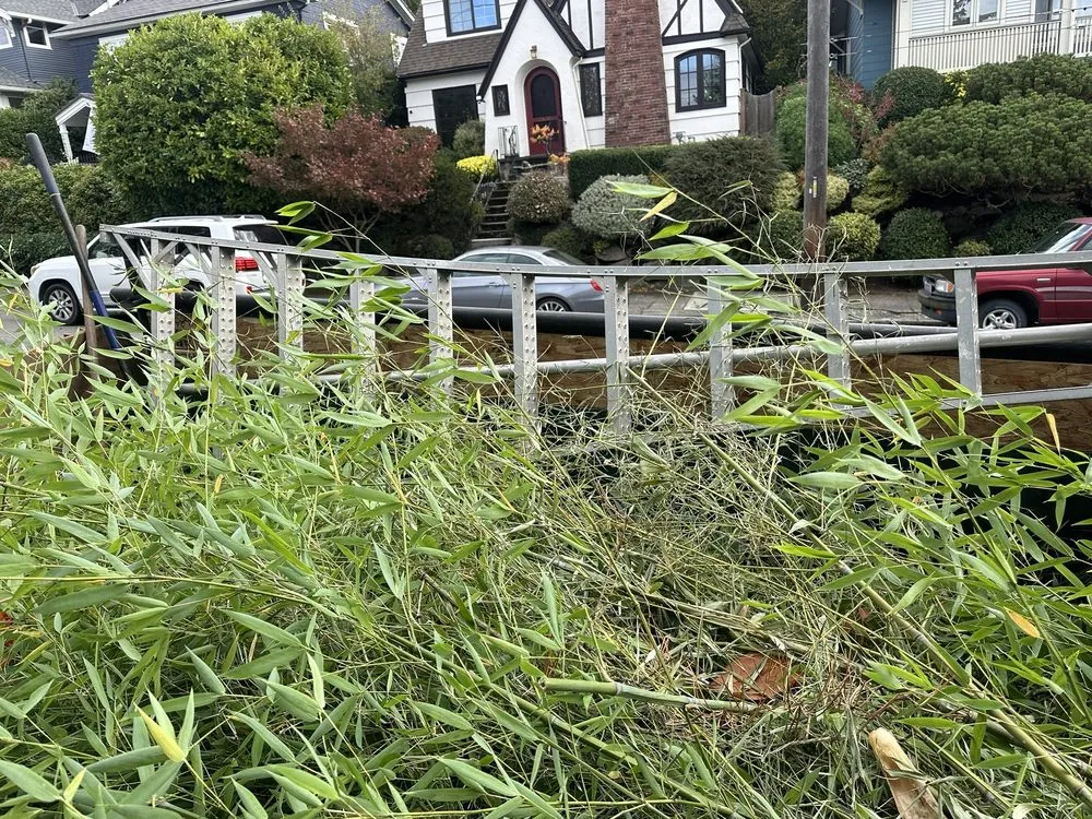 Expert landscape design experts serving Federal Way, WA - Sanchez Clean Scape Services