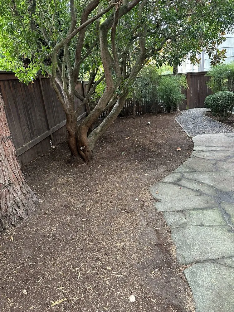 Affordable lawn mowing service experts serving Federal Way, WA - Sanchez Clean Scape Services