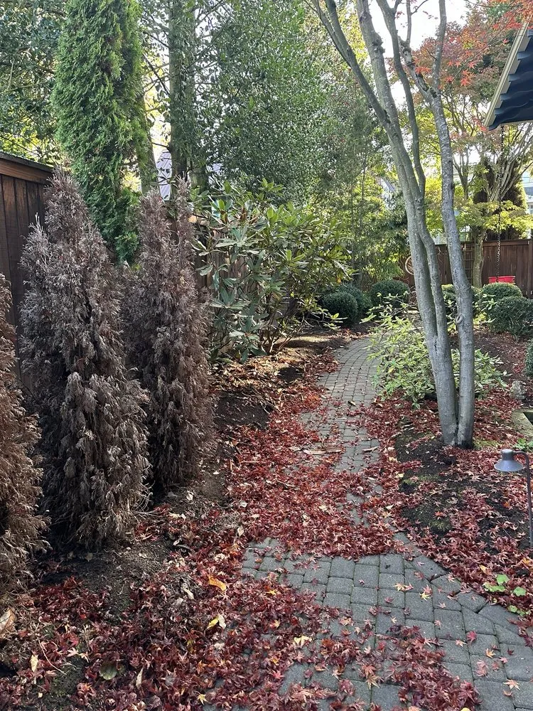 Affordable outdoor landscaping in Federal Way, WA - Sanchez Clean Scape Services
