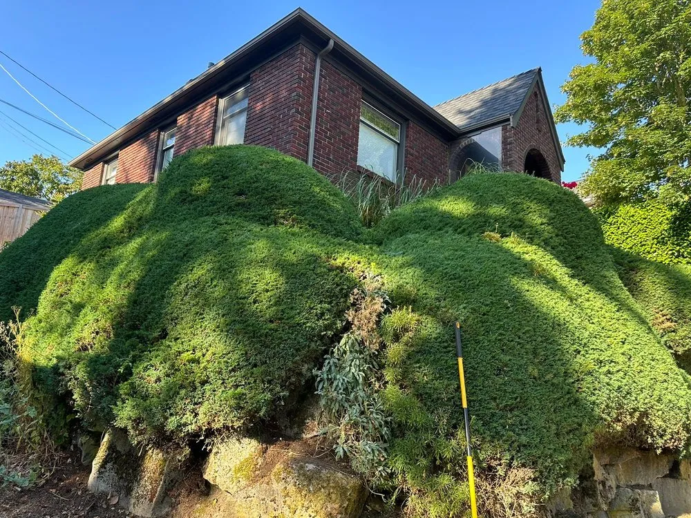 Expert residential landscaping in Federal Way, WA by Sanchez Clean Scape Services