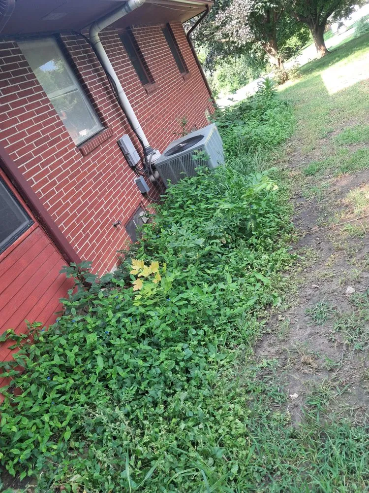 Professional yard cleanup service with custom design across Des Moines, IA - Sanchez Clean Ups