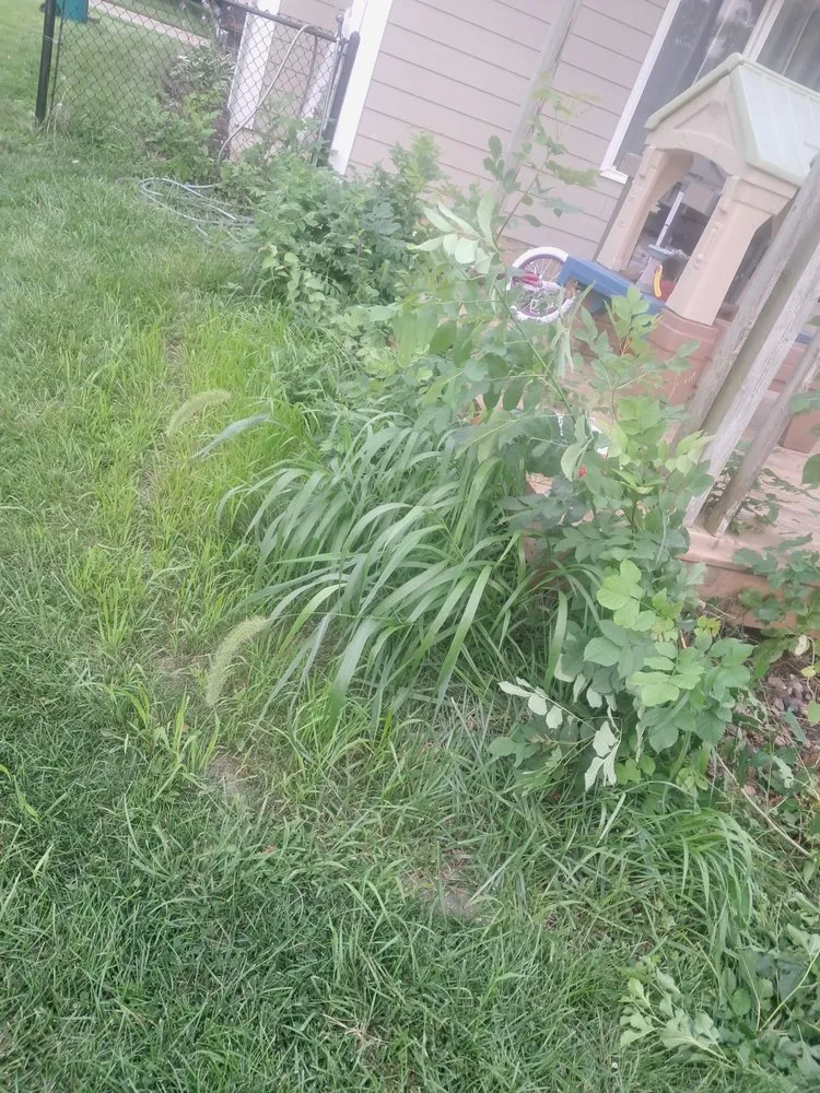 Affordable residential landscaping in Des Moines, IA by Sanchez Clean Ups