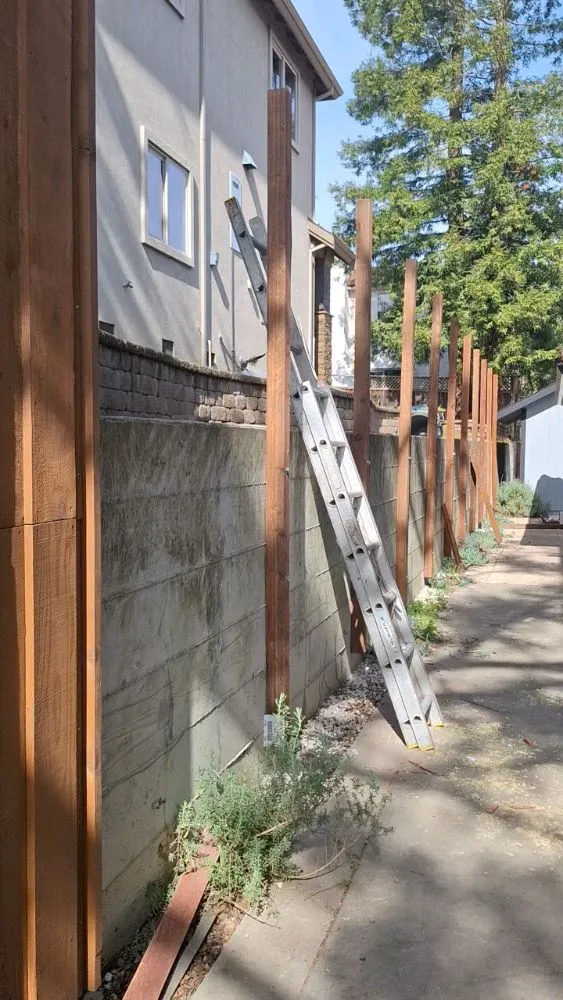 Affordable landscaping services in brentwood, CA - Sanchez Economic