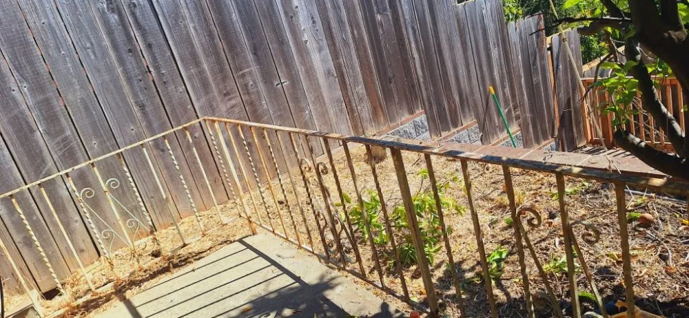 Professional yard maintenance in brentwood, CA - Sanchez Economic