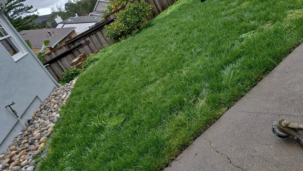 Professional garden landscaping experts serving brentwood, CA - Sanchez Economic