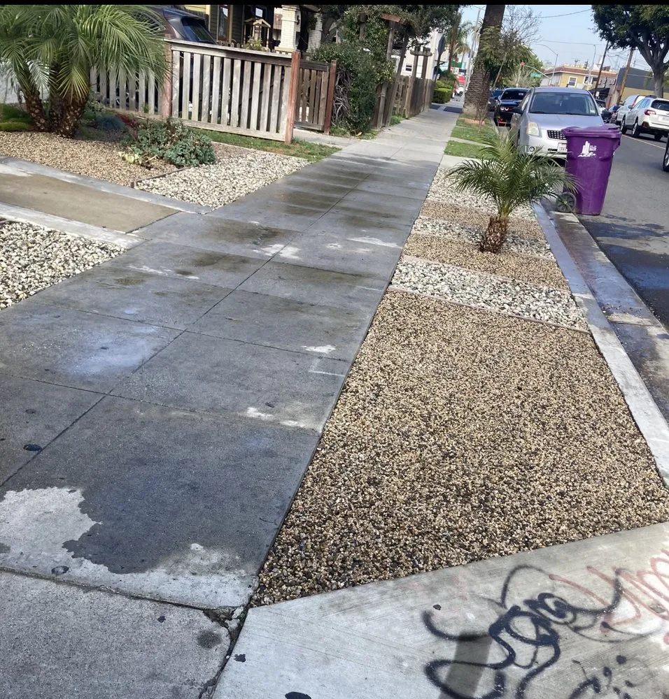 Expert landscaping services for year-round maintenance in Norwalk, CA by Sanchez Elite Landscaping