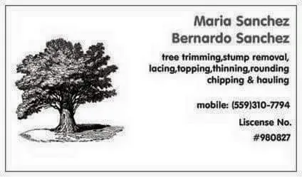 Affordable landscaping services in Porterville, CA - Sanchez Family Tree Experts Maria & Bernardo Sanchez