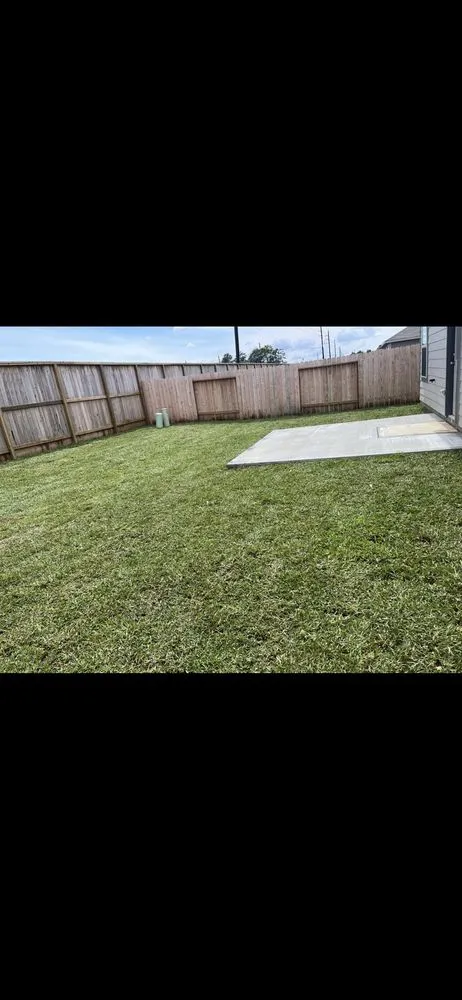 Reliable yard cleanup service experts serving Houston, TX - Sanchez Fencing & More
