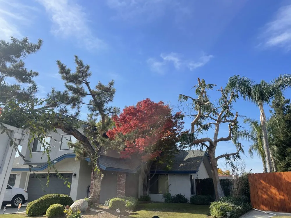 Professional garden landscaping near you across Bakersfield, CA - Sanchez Gardening and Landscaping