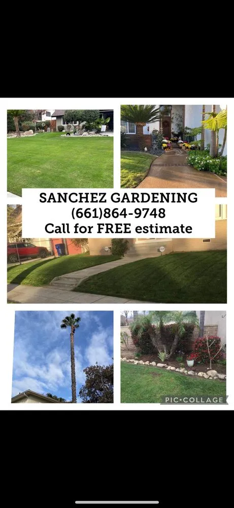 Top-rated lawn care service for outdoor upgrades across Bakersfield, CA - Sanchez Gardening and Landscaping