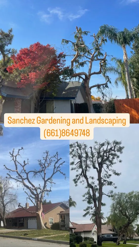 Professional residential landscaping experts serving Bakersfield, CA - Sanchez Gardening and Landscaping