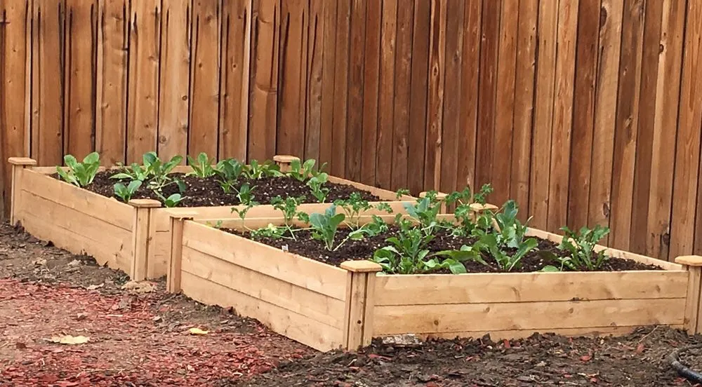 Trusted garden landscaping experts serving Los Angeles, CA - Sanchez Gardening