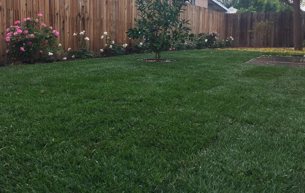 Local outdoor landscaping in Los Angeles, CA by Sanchez Gardening