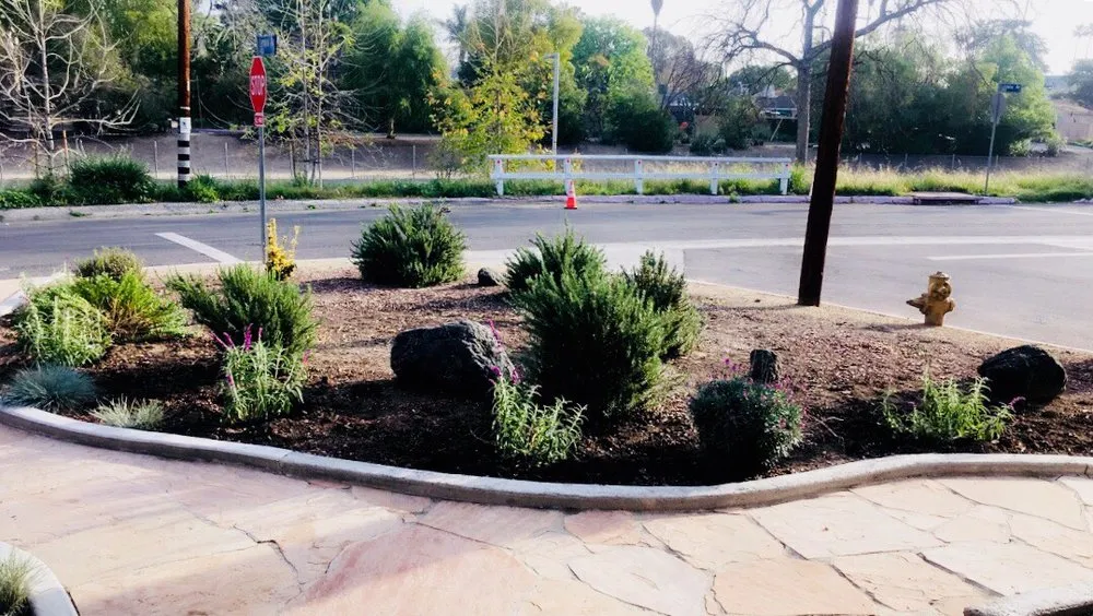 Top-rated landscape installation for outdoor upgrades across Los Angeles, CA - Sanchez Gardening