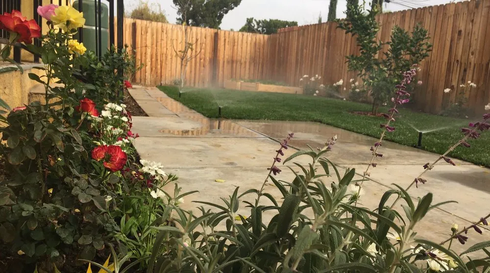 Expert lawn care service for year-round maintenance in Los Angeles, CA by Sanchez Gardening