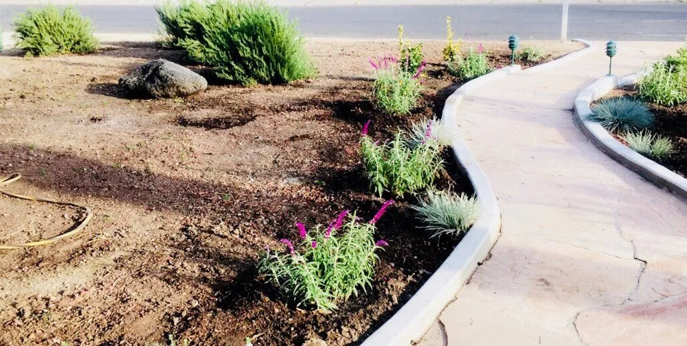 Local yard maintenance for residential properties in Los Angeles, CA by Sanchez Gardening