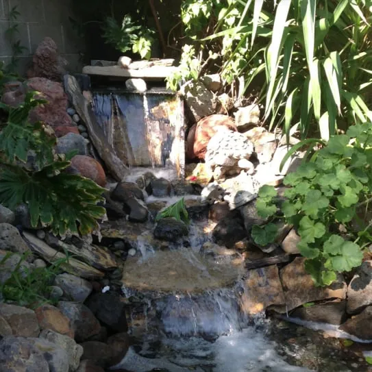 Professional residential landscaping with custom design across Los Angeles, CA - Sanchez Gardening