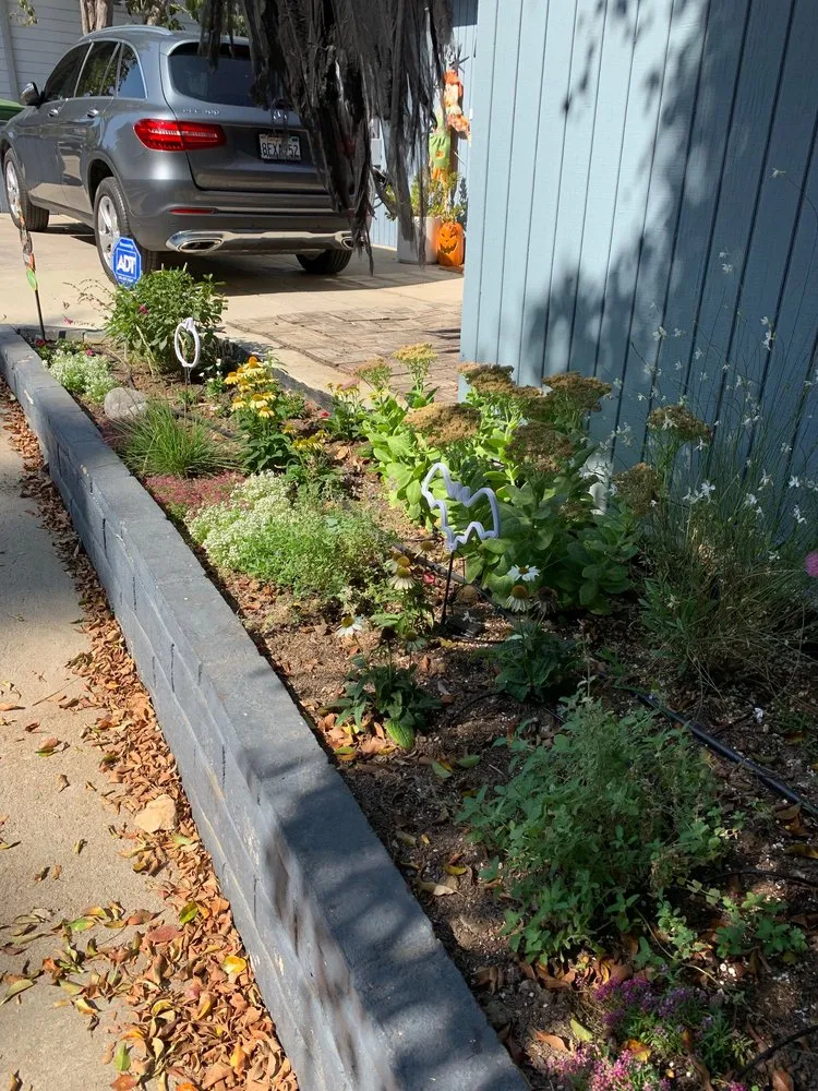 Expert outdoor landscaping in Los Angeles, CA by Sanchez Gardening