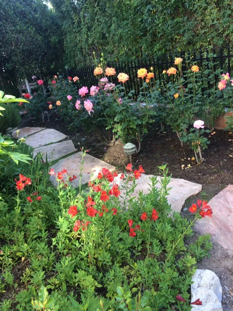 Custom yard cleanup service with custom design in Los Angeles, CA by Sanchez Gardening