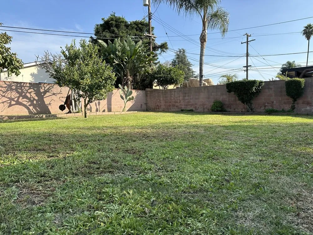 Affordable lawn mowing service in Glendora, CA - Sanchez Irrigation