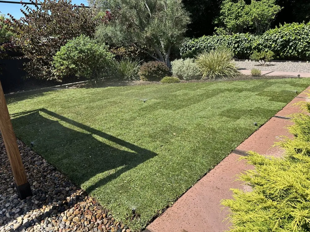 Custom yard maintenance for beautiful yards in Glendora, CA by Sanchez Irrigation