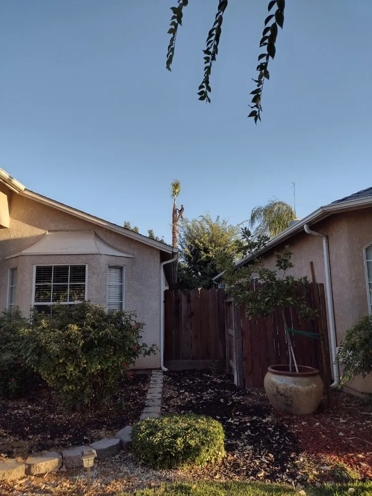 Top-rated yard maintenance near you across Fresno, CA - Sanchez Land Care