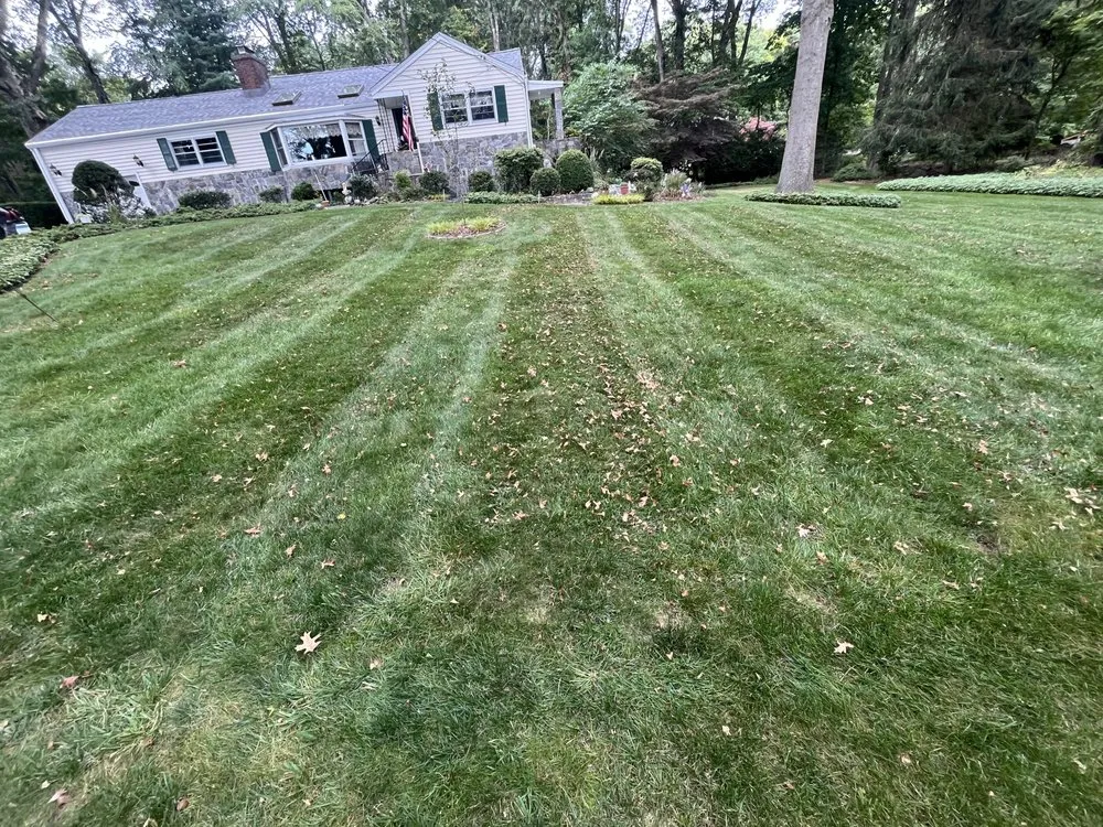 Affordable outdoor landscaping for homes across Norwalk, CT - Sanchez Landscape & Masonry