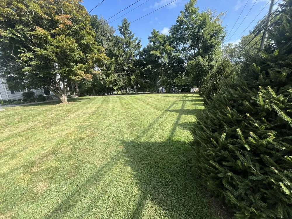 Top-rated landscaping services in Norwalk, CT - Sanchez Landscape & Masonry