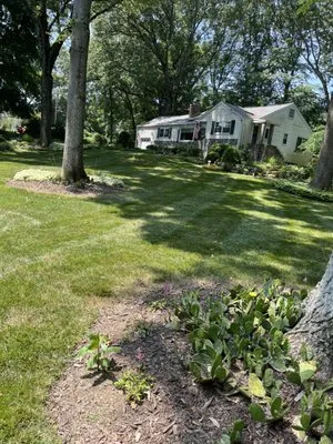 Sanchez Landscape & Masonry Logo