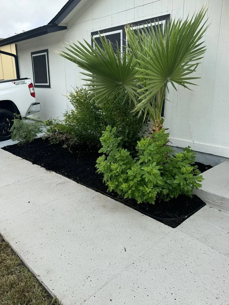 Reliable landscape installation in Austin, TX by Sanchez Landscape