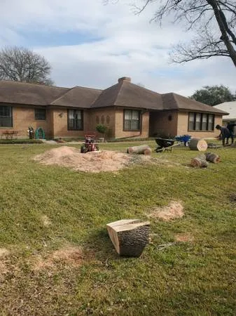 Local lawn care service for homes in Austin, TX by Sanchez Landscape