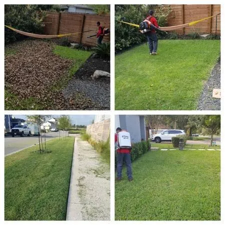 Affordable lawn mowing service for outdoor upgrades in Austin, TX by Sanchez Landscape