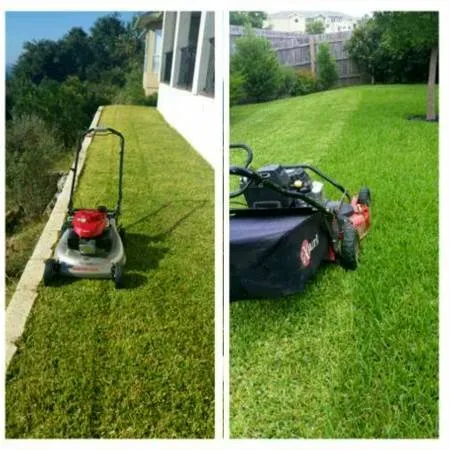 Affordable landscape installation for outdoor upgrades in Austin, TX by Sanchez Landscape