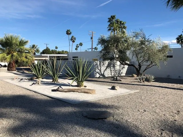 Professional yard cleanup service in Cathedral City, CA by Sanchez Landscape