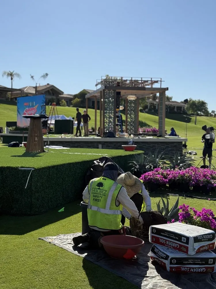 Reliable landscaping services in Cathedral City, CA by Sanchez Landscape