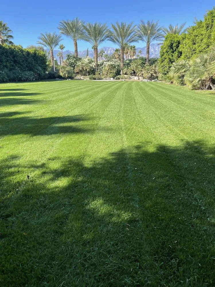 Custom residential landscaping for homes in Cathedral City, CA by Sanchez Landscape