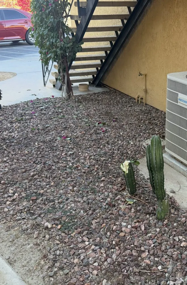 Affordable outdoor landscaping for year-round maintenance across Cathedral City, CA - Sanchez Landscape