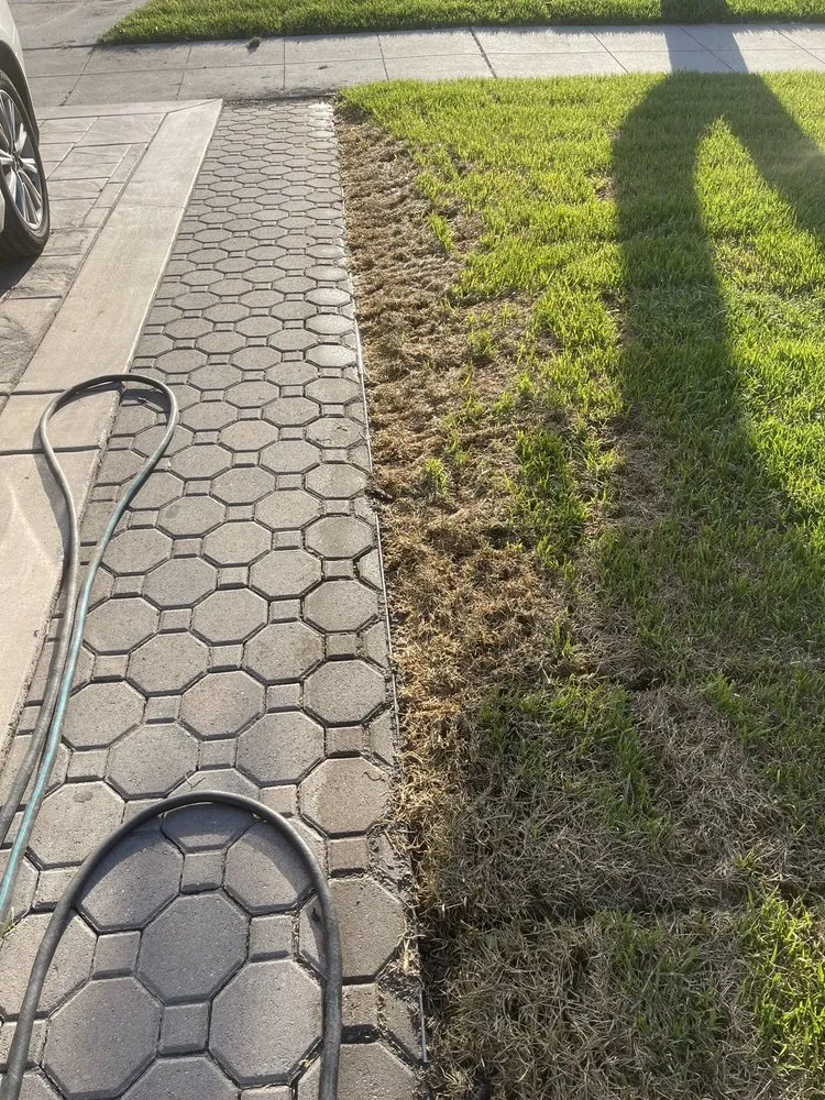 Custom yard maintenance in Santa Clara, CA - Sanchez Landscape Service