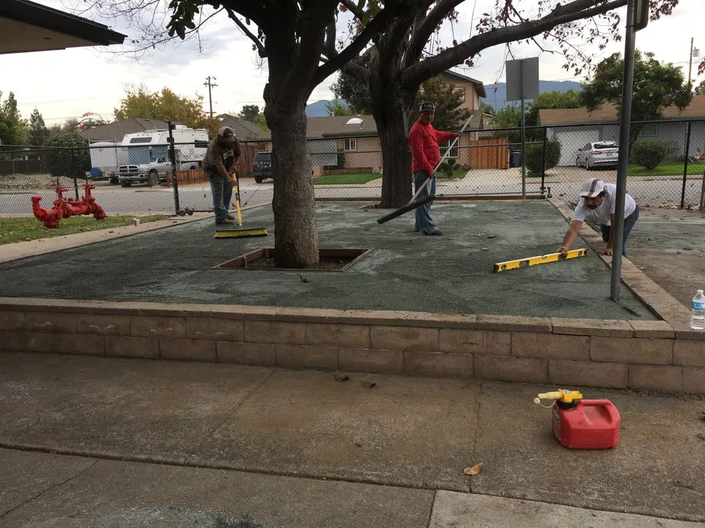 Expert yard cleanup service in Santa Clara, CA by Sanchez Landscape Service