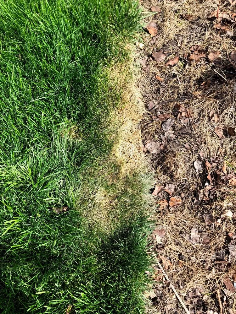 Affordable outdoor landscaping in Santa Clara, CA - Sanchez Landscape Service