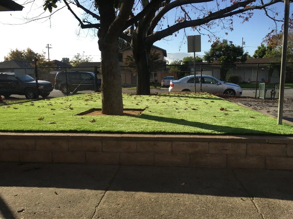 Reliable outdoor landscaping for year-round maintenance in Santa Clara, CA by Sanchez Landscape Service