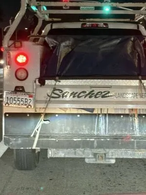 Sanchez Landscape Service Logo