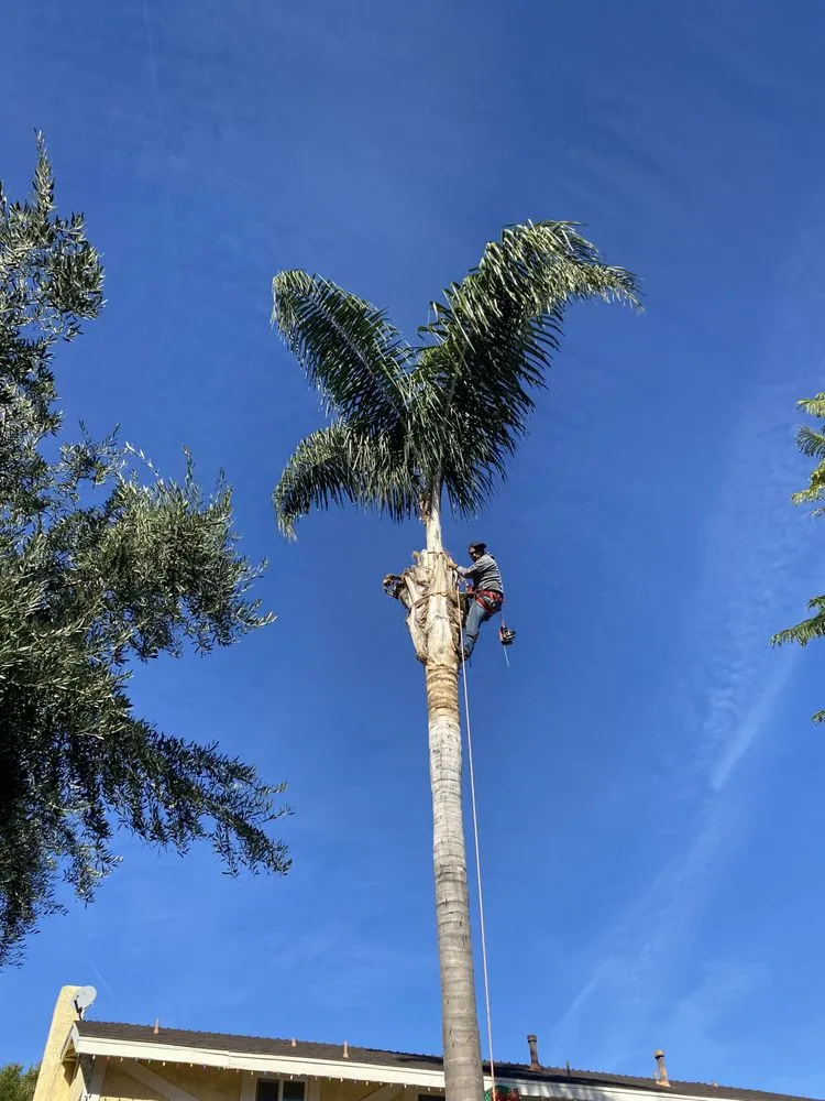 Custom outdoor landscaping for residential properties in West Hills, CA by Sanchez Landscape Tree Trim & Gardening