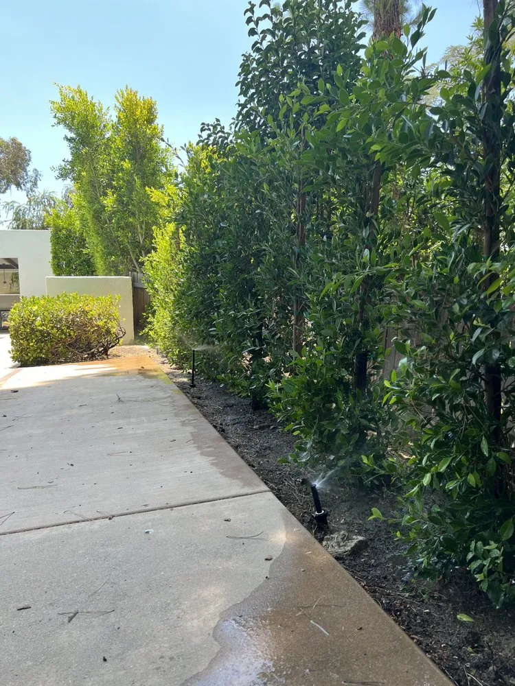 Affordable garden landscaping for homes in West Hills, CA by Sanchez Landscape Tree Trim & Gardening