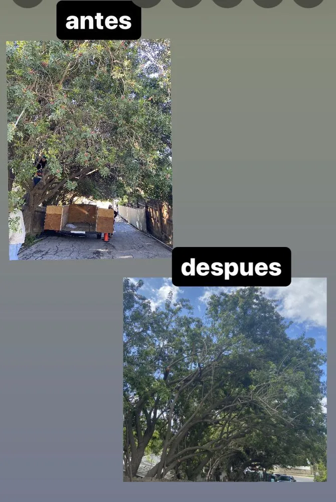 Top-rated lawn mowing service in West Hills, CA by Sanchez Landscape Tree Trim & Gardening