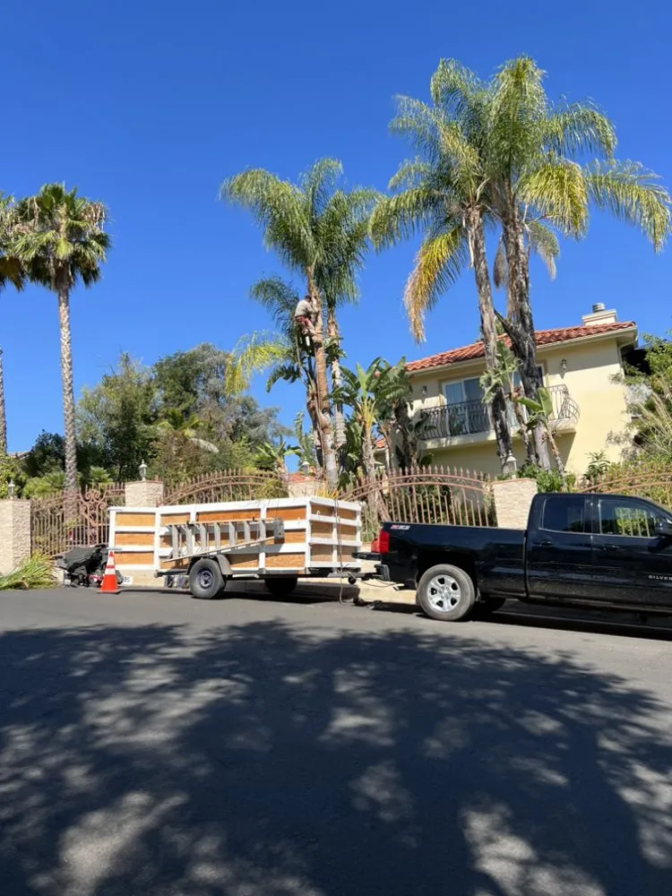 Local landscaping services in West Hills, CA - Sanchez Landscape Tree Trim & Gardening