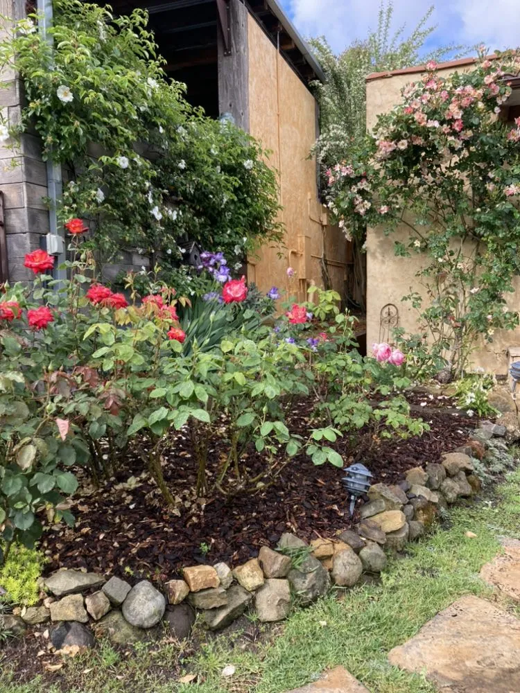 Trusted residential landscaping for residential properties in West Hills, CA by Sanchez Landscape Tree Trim & Gardening