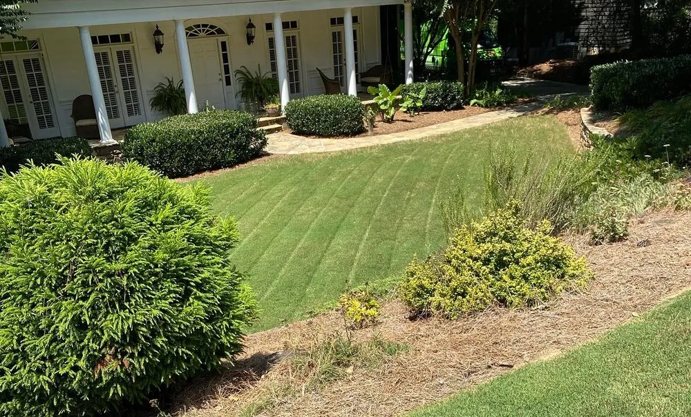 Local yard maintenance for year-round maintenance in Murrayville, GA by Sanchez Landscape’s