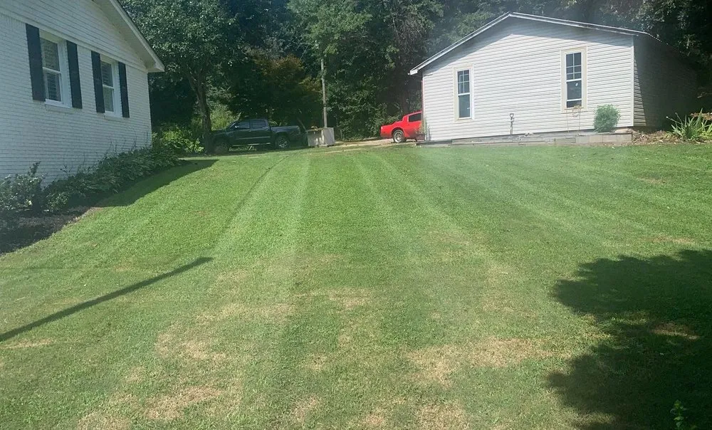 Reliable yard maintenance experts serving Murrayville, GA - Sanchez Landscape’s